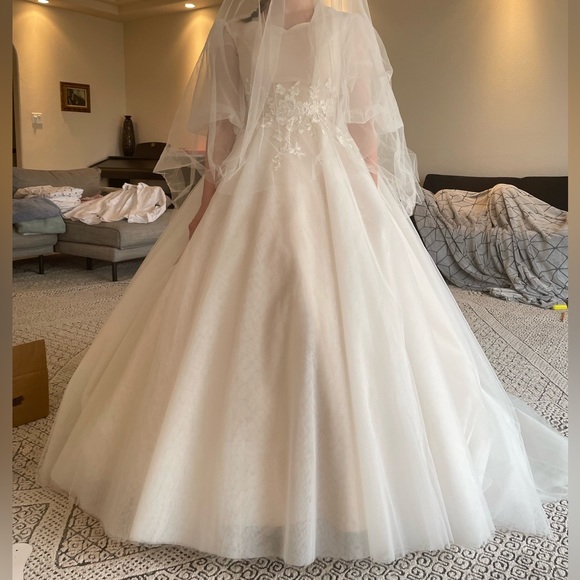 Custom Wedding Dress! Soft Blush w/Tulle Overlay, Sleeve (modest, LDS) - Picture 12 of 14